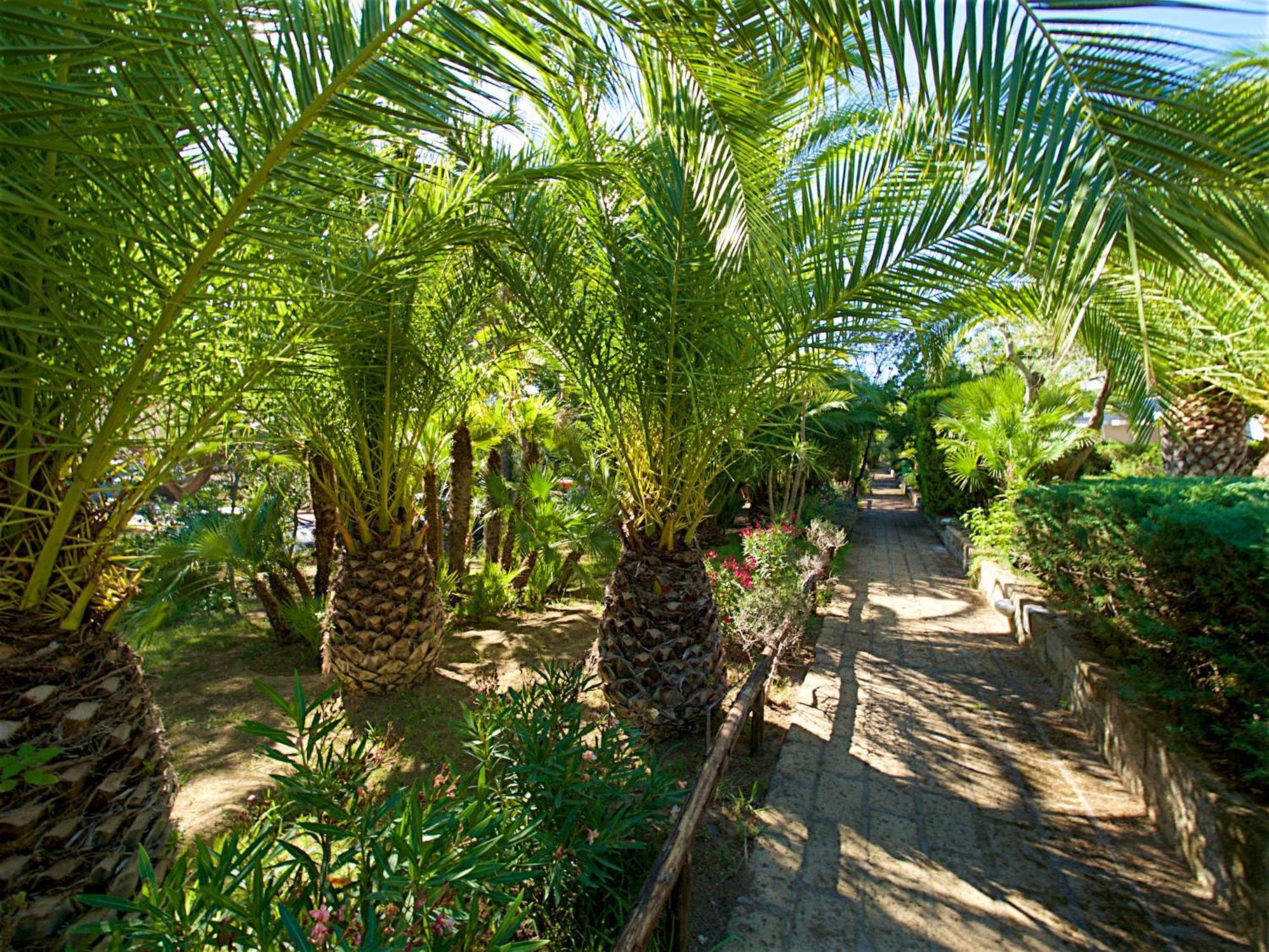 Holiday Home Twoo-Room Comfort By Interhome Castiglione della Pescaia Buitenkant foto